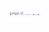 Lecture 27 Populations, Communities, & Ecosystems
