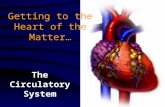 Getting to the Heart of the Matter…