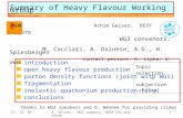 Summary of Heavy Flavour Working Group