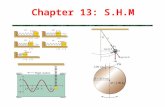 Chapter 13: S.H.M