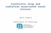 Cytostatic drug and radiation associated renal lesions