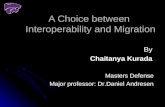 A Choice between  Interoperability and Migration