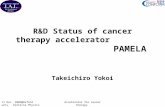 R&D Status of cancer therapy accelerator                              PAMELA