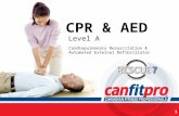 CPR & AED