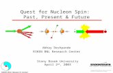 Quest for Nucleon Spin:  Past, Present & Future