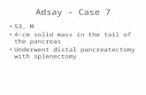 Adsay - Case 7