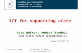 ICT  for supporting  eCare