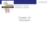 Chapter 18 Glycolysis