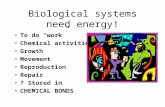 Biological systems need energy!