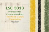 LSC 3013 Professional  Communications