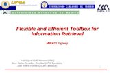 Flexible and Efficient Toolbox for Information Retrieval MIRACLE group