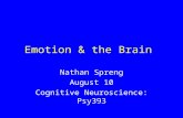 Emotion & the Brain