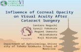 Influence of Corneal Opacity  on Visual Acuity After Cataract Surgery
