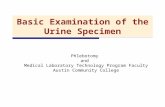 Basic Examination of the Urine Specimen