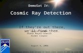 Cosmic Ray Detection