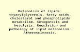 Classification of lipids ,  based on their backbone structures: