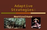 Adaptive Strategies: