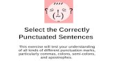Select the Correctly Punctuated Sentences