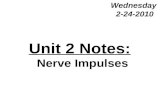 Unit 2 Notes: Nerve Impulses