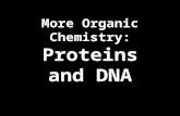 More Organic Chemistry: Proteins and DNA