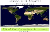 Lesson 6.3 Aquatic Ecosystems