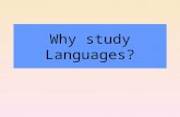 Why study Languages?