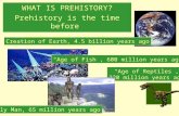 WHAT IS PREHISTORY? Prehistory is the time before  there were written records.