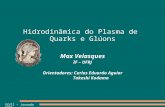 Hidrodinâmica do Plasma de  Quarks e Glúons