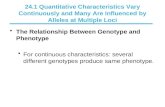 The Relationship Between Genotype and Phenotype