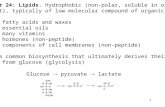 Chapter 24: Lipids.  Hydrophobic (non-polar, soluble in organic