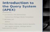 Introduction  to the Query System (APEX)