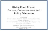 Rising Food Prices:  Causes, Consequences and Policy Dilemmas