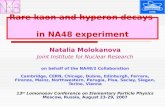 Natalia Molokanova Joint Institute for Nuclear Research