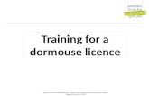 Training for a dormouse licence