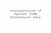 Interpretation of Agilent 2100 Bioanalyzer Data