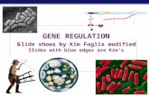 GENE REGULATION s lide shows by Kim Foglia modified Slides with blue edges are Kim’s