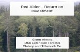 Red Alder – Return on Investment