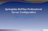 Springlake BizFiles Professional  Server Configuration