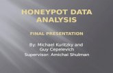 Honeypot  Data Analysis Final presentation