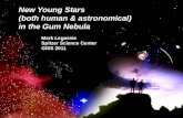New Young Stars  (both human & astronomical)  in the Gum Nebula