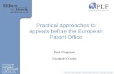 Practical approaches to appeals before the European Patent Office