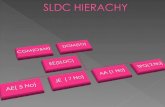 SLDC HIERACHY