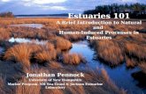 Estuaries 101 A Brief Introduction to Natural and  Human-Induced Processes in Estuaries