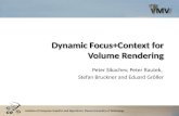 Dynamic  Focus+Context  for Volume Rendering