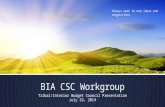 BIA CSC Workgroup