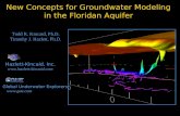 New Concepts for Groundwater Modeling in the Floridan Aquifer