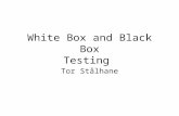 White Box and Black Box Testing