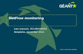 NetFlow monitoring