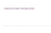 Endocrine Problems