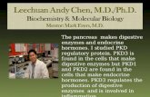 Leechuan Andy Chen, M.D./Ph.D. Biochemistry & Molecular Biology Mentor: Mark Evers, M.D.